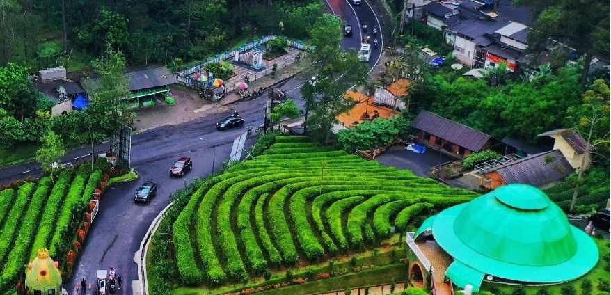 Kebun Teh Ciater di Kecamatan Ciater, Kabupaten Subang, Jawa Barat