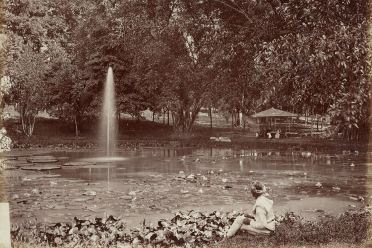 Foto Kebun Raya Bogor tahun 1880(KITLV)