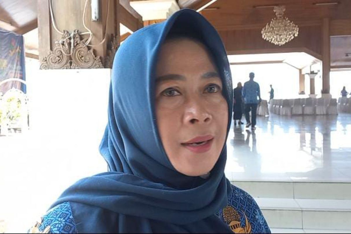 Lilis Budiani Kabid Pengadaan, Pemberhentian dan Informasi ASN BKPSDM Kabupaten Sumedang