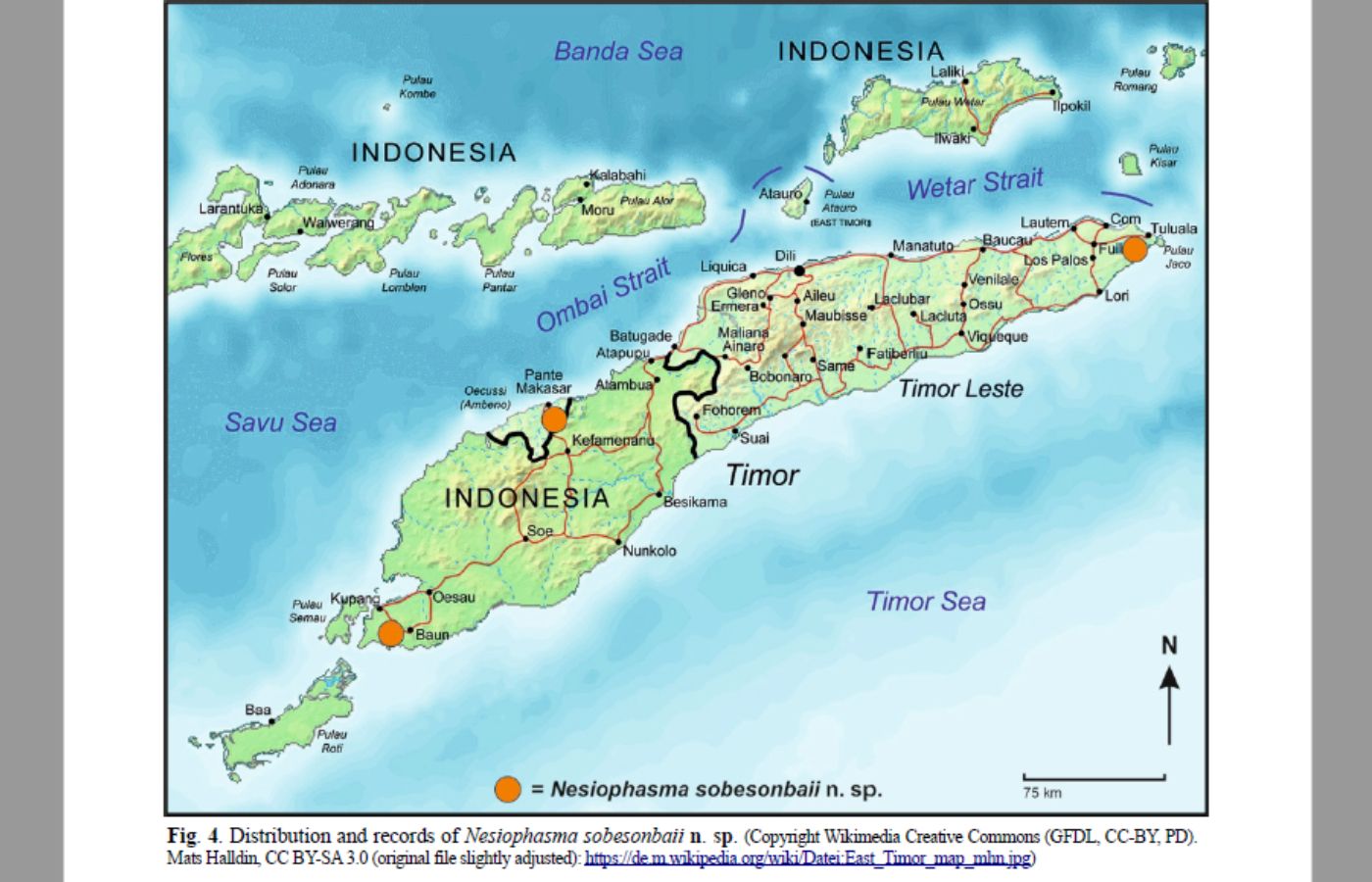 Peta ditemukannya serangga raksasa asal NTT oleh pemuda Indonesia, Davis Marthin Damaledo.