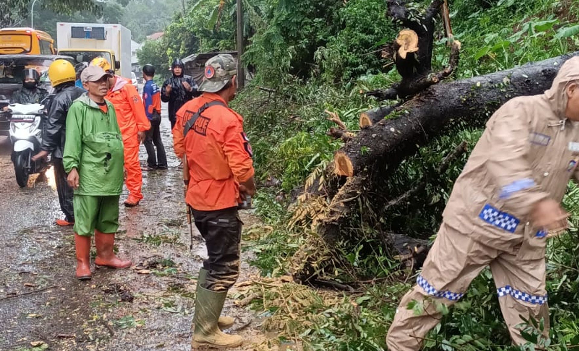 Bencana tanah longsor dan pohon tumbang di Kampung Margaluyu Mekar, Desa Citatah, Kecamatan Cipatat, Kabupaten Bandung Barat,, Kamis 4 Januari 2024