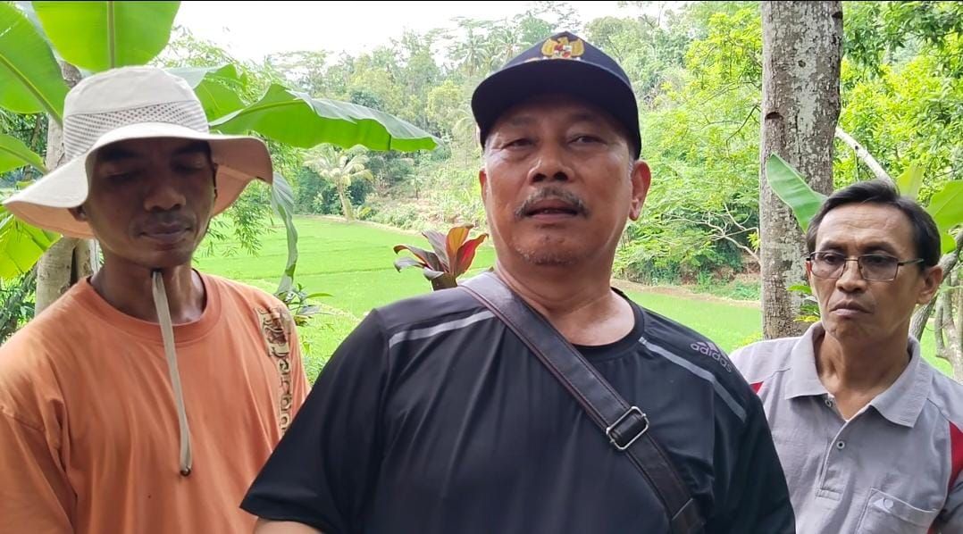 Kepala Desa Lembahsari Harto didampingi pengusaha durian Sobirin dan Sekretaris Desa Lembahsari saat diwawancarai disela-sela panen durian lokal 'Koplok'.
