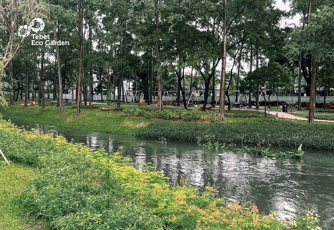 Tebet Eco Park, salah satu spot hijau tempat healing dan quality time di Jakarta di akhir pekan.
