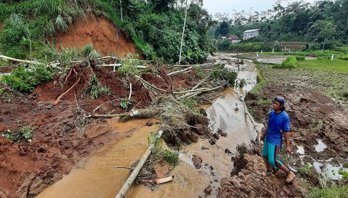 Warga menunjukkan persawahan yang tertimbun longsor dan banjir di Kampung Cirajamekar, Desa Mandalasari, Kecamatan Cikalongwetan, Kabupaten Bandung Barat, Senin (8/1/2024). Bencana alan terus terjadi di KBB karena cuaca buruk yang melanda wilayah itu.