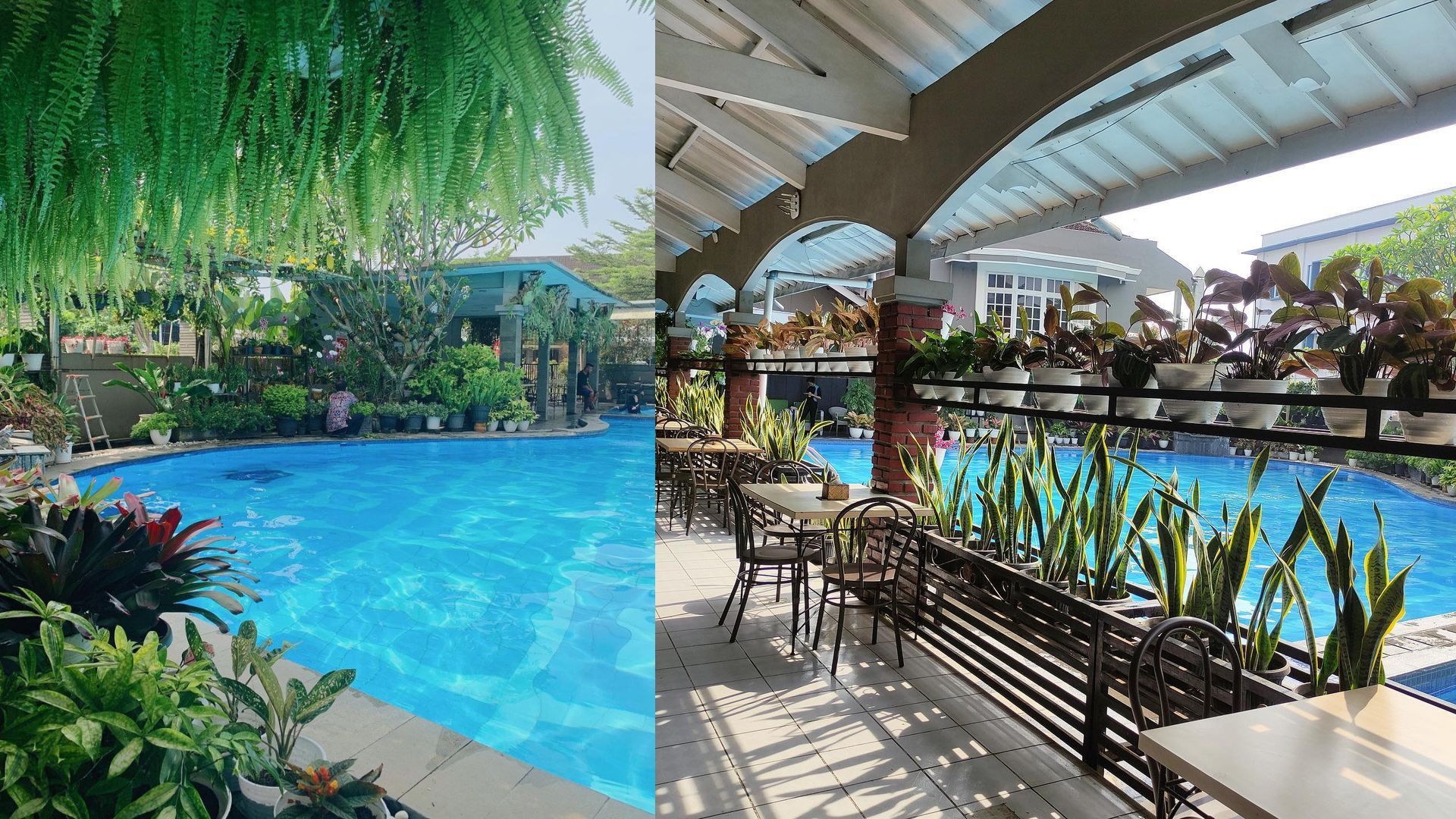 Suasana kolam renang dan lokasi sarapan di Hotel Ramayana