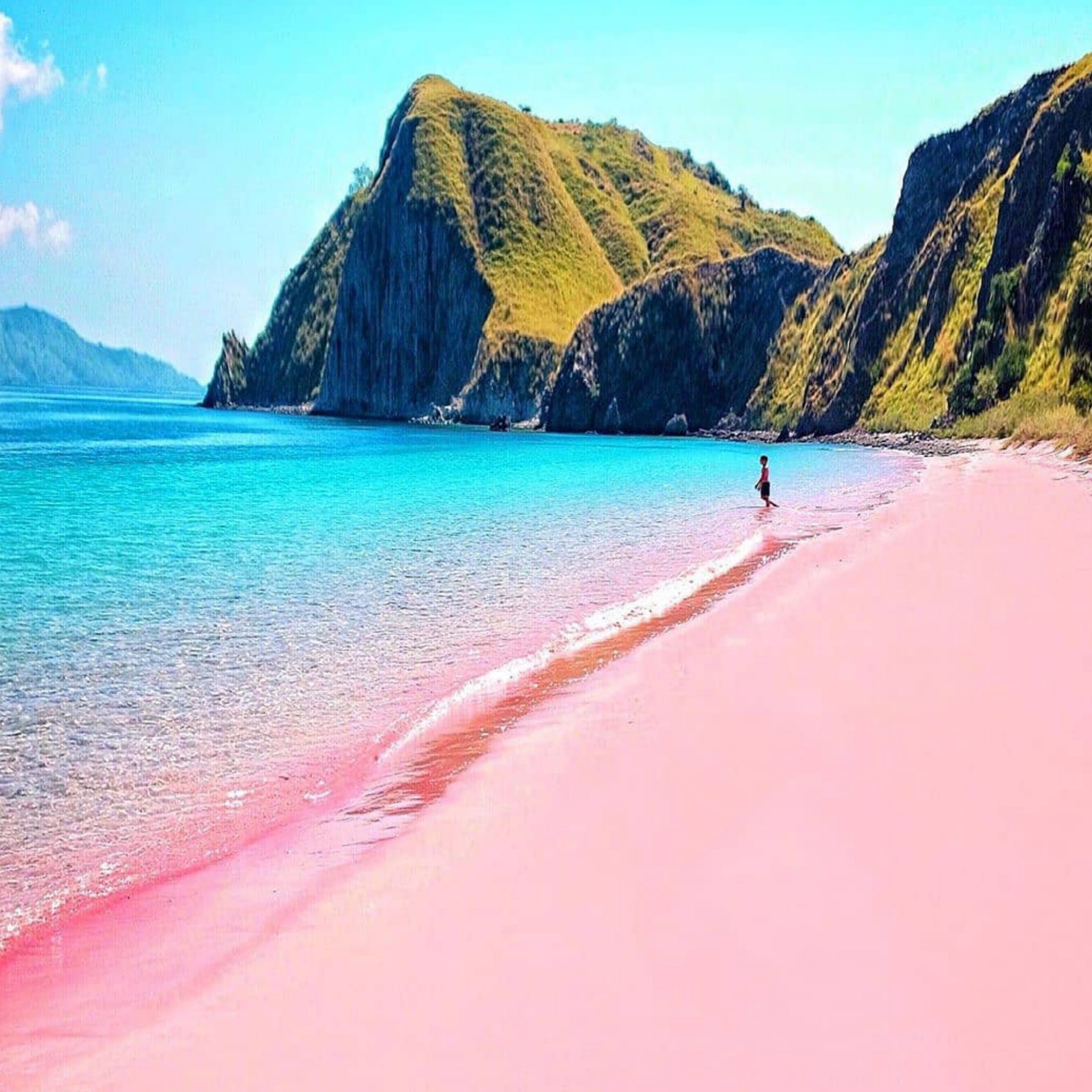 Pantai Pink di Lombok Timur