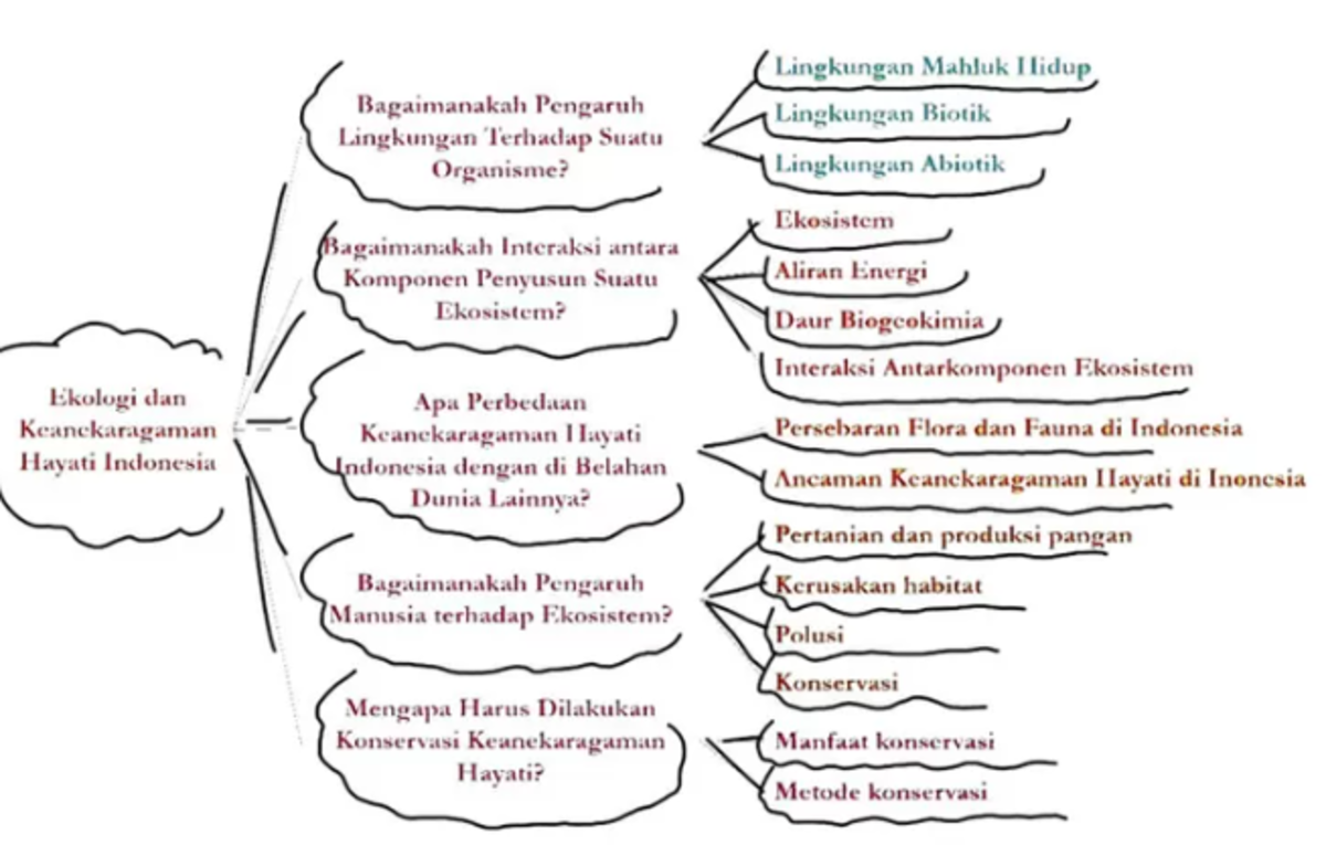 Kunci Jawaban Ipa Kelas 7 Halaman 185 Kurikulum Merdeka Perbedaan Habitat Ekosistem Dan Bioma 9493