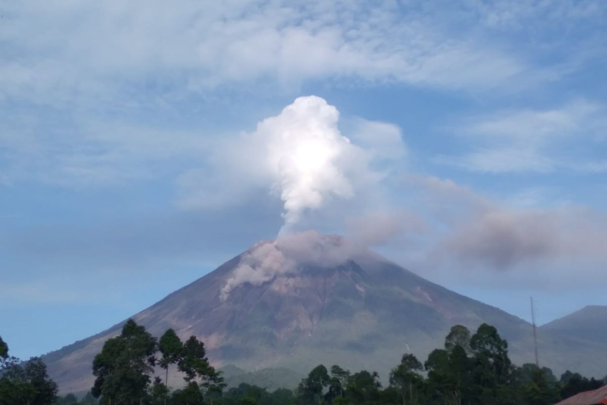 Gunung Semeru di Lumajang Jawa Timur alami 36 kali letusan, BPBD Jawa Timur imbau masyarakat waspadai awan panas guguran.