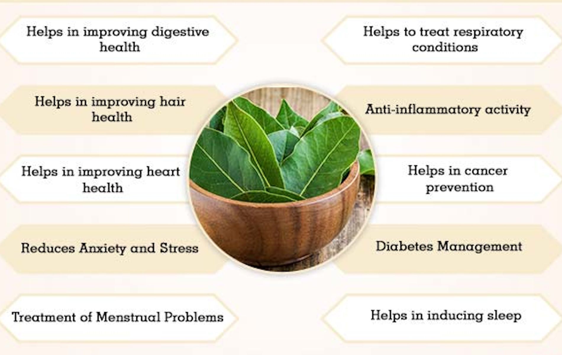 Manfaat daun salam untuk kesehatan manusia.
