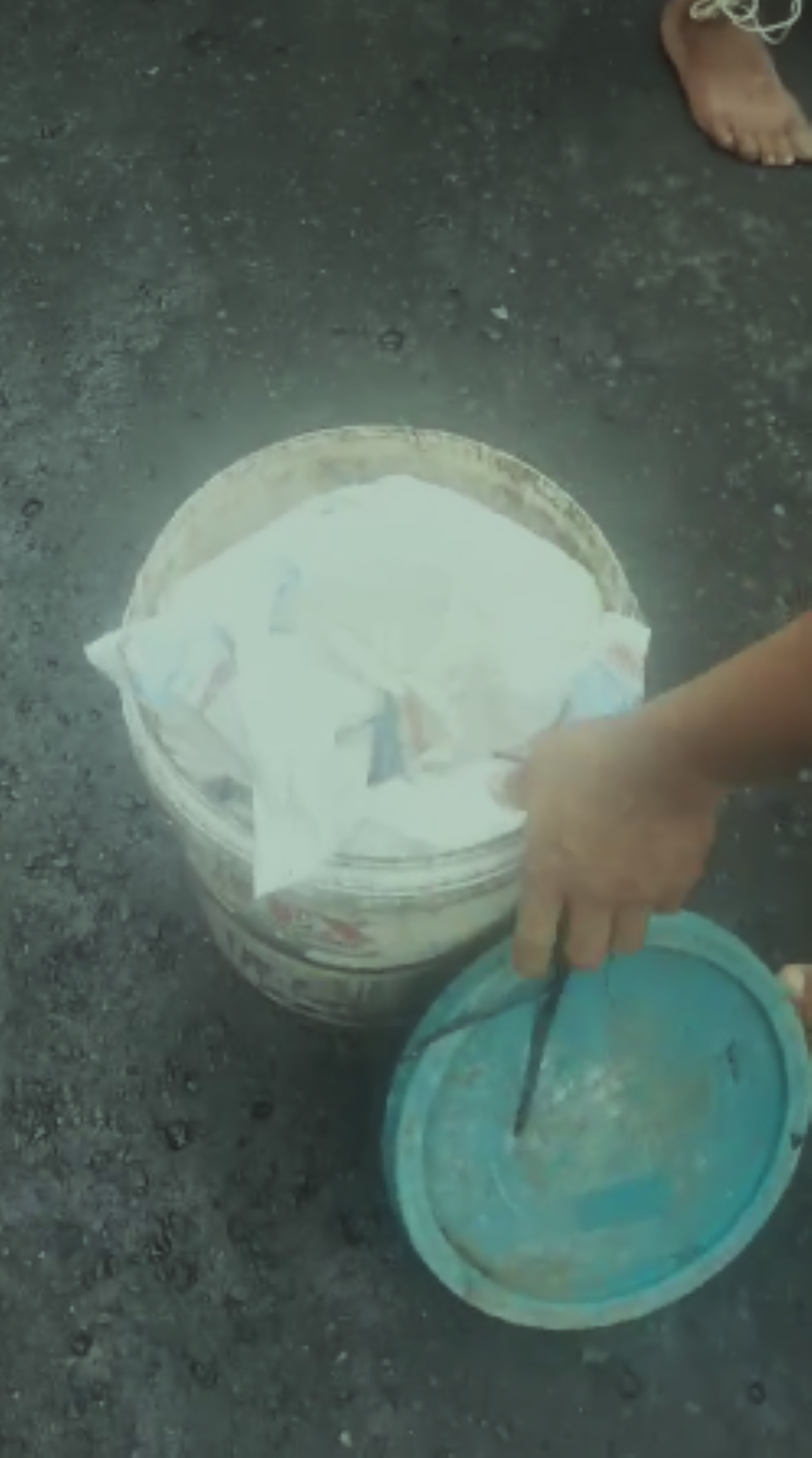 ember bekas cat yang digunakan pelaku untuk menyimpan anak babi