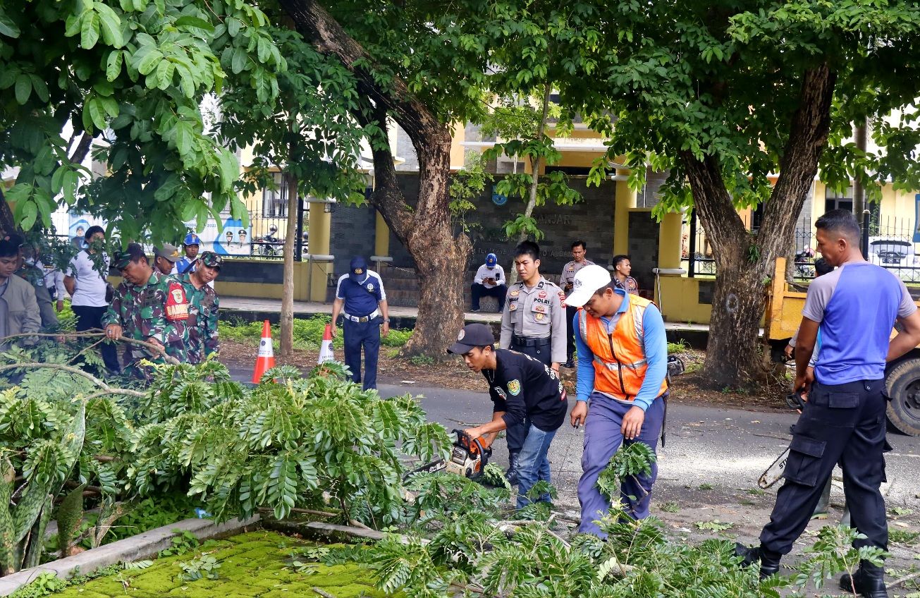 Tebang pilih pohon berpotensi roboh oleh Tim Gabungan di Jalan Gerilya Pamongkoran Kota Banjar, Senin (29/1/2024).