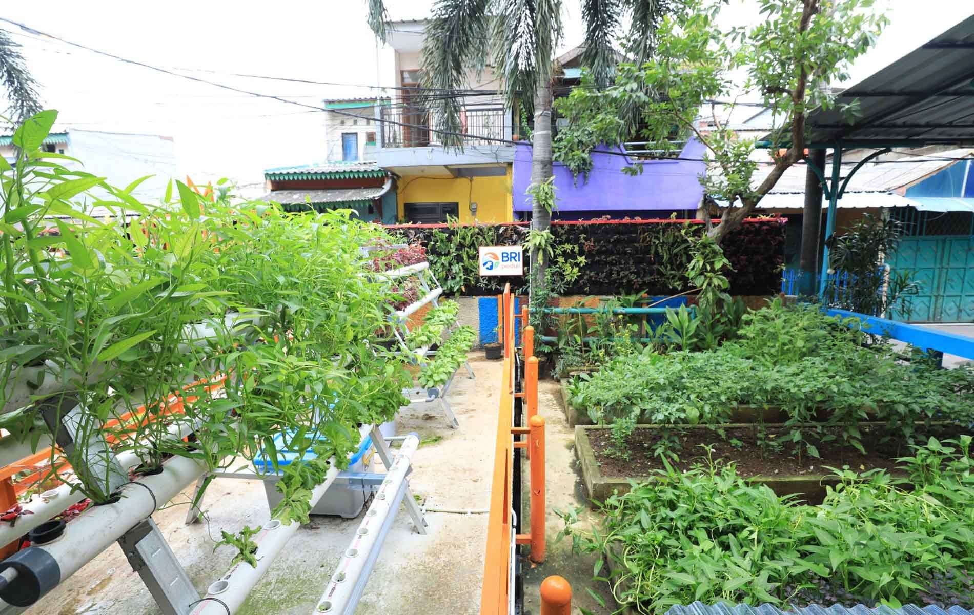 Nuansa Hijau di Kampung Palm Eco Green Village Malang, yang Makin Asri Berkat Program BRInita