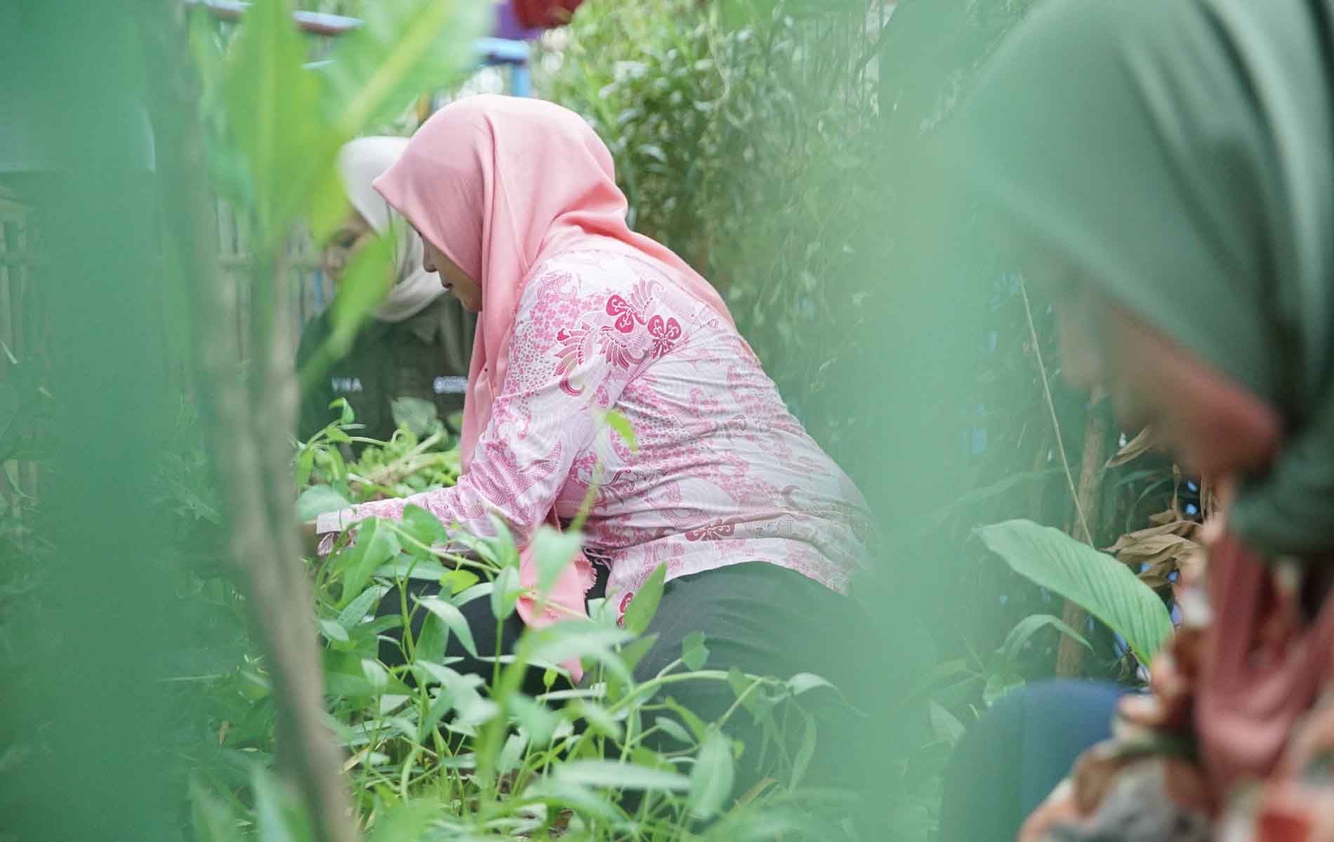 Sejumlah ibu-ibu tampak sedang merawat tanaman di Kampung Palm Eco Green Village Malang