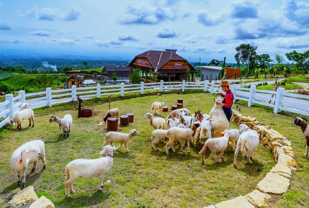 Cepogo Cheese Park Boyolali, salah satu tempat wisata instagramable di Solo Raya