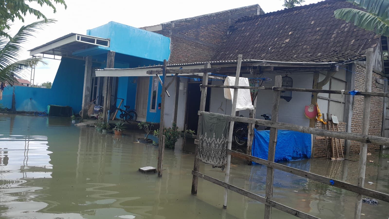 Rumah warga yang tergenang banjir di Desa Werdoyo, Kecamatan Godong.
