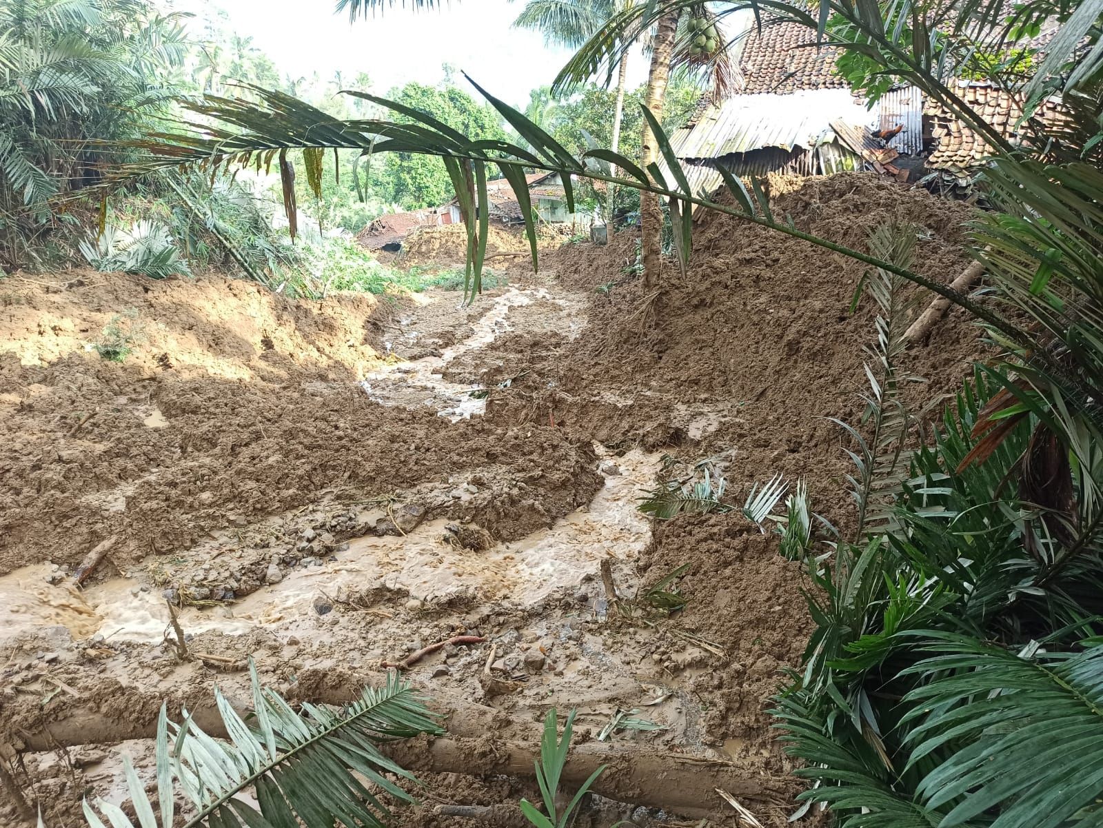 Material tanah yang longsor akibat hujan deras di Banjarnegara/ BPBD