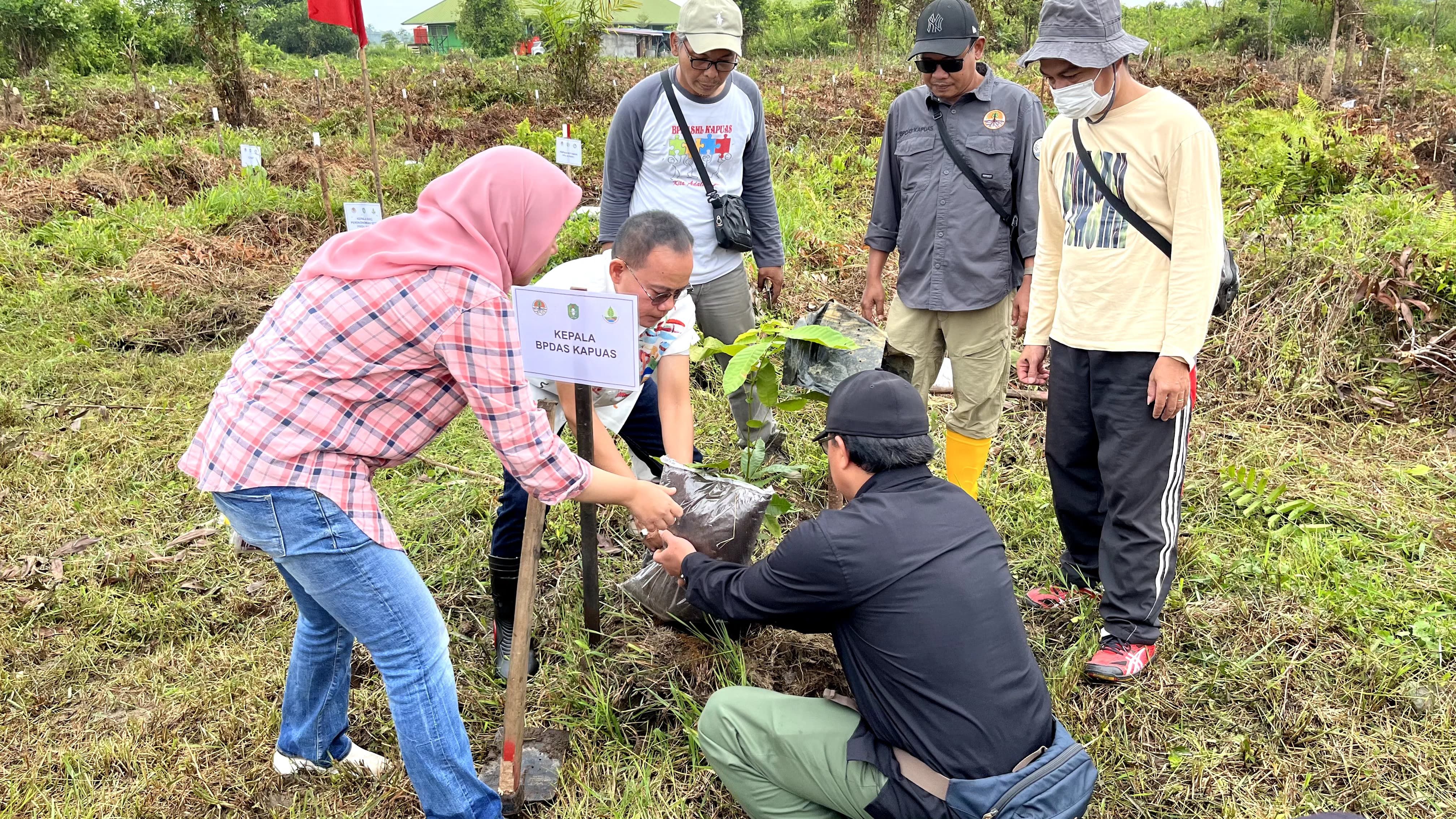 Dirjen KLHK Tanam Pohon Serentak Seluruh Indonesia Di Hari Lahan Basah ...