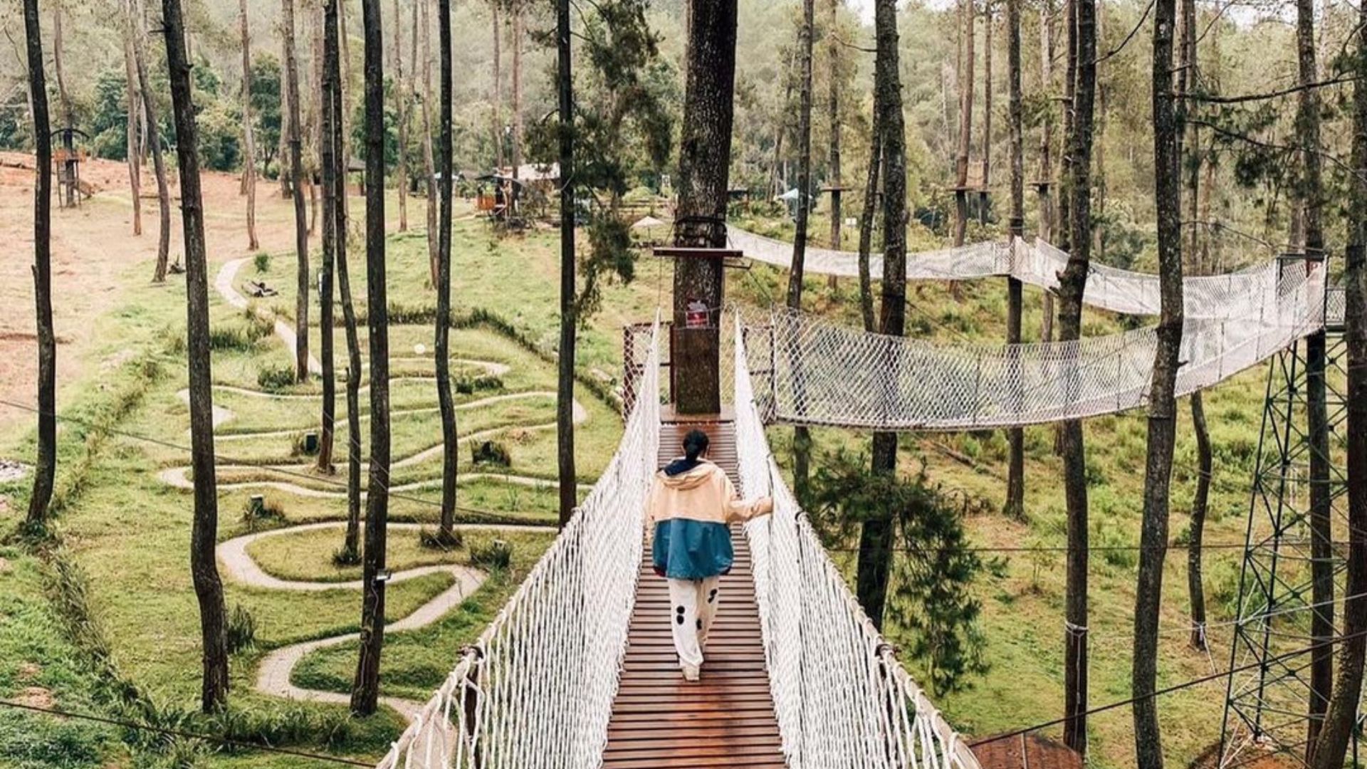 Berjalan di jembatan kayu yang indah yang berada di Orchid Forest Cikole, Bandung.