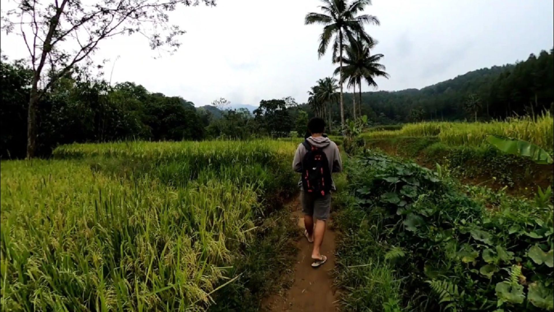 Jalan kaki ke Leuwi Pamipiran dari desa terdekat./ YouTube/ Baru mau Bikin/