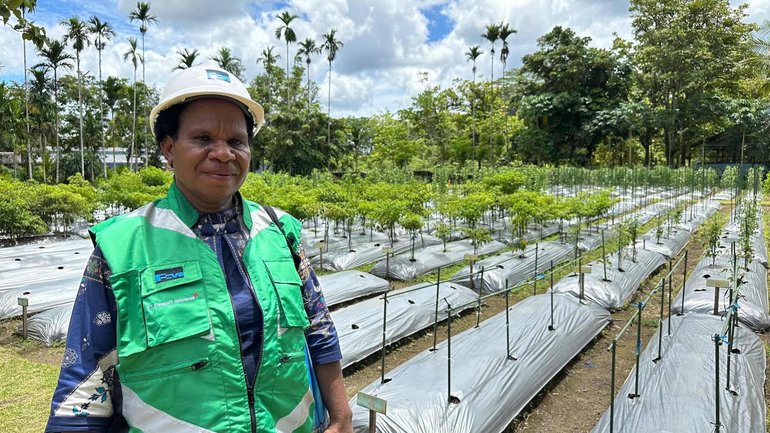 Tina Komangal, perempuan Suku Amungme, asal Kampung Waa Banti, Distrik Tembagapura, Mimika, sejak 2012 bekerja sebagai kontraktor di PT Freeport Indonesia (PTFI). Ia bersama delapan karyawannya mengelola pertanian dan penghijauan di area Pusat Reklamasi dan Keanekaragaman Hayati PTFI.