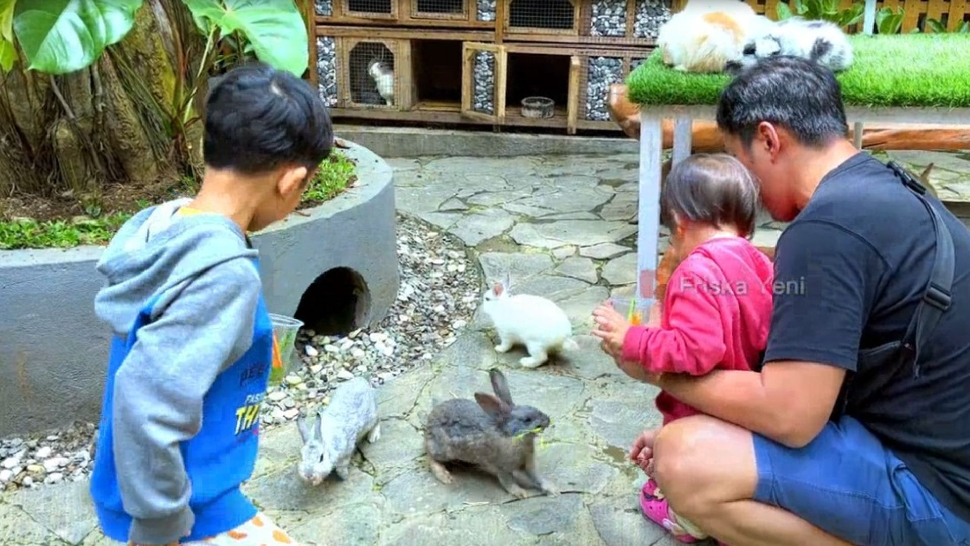Rabbit House di Kampung Daun Culture Gallery and Cafe Bandung, akan membuat anak-anak senang, terlebih mereka diperbolehkan memegang dan memberi makan./ Youtube/ Friska Yeni/