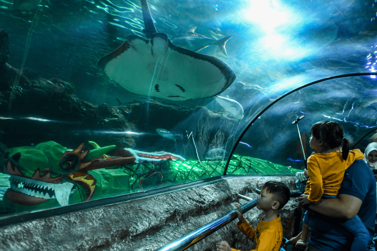 Wisatawan mengamati ikan di Sea World Ancol, Jakarta, Jakarta, Kamis, 8 Februari 2024. Sea World termasuk tempat wisata yang memberikan promo Pemilu seusai pencoblosan berupa diskon tiket masuk. 