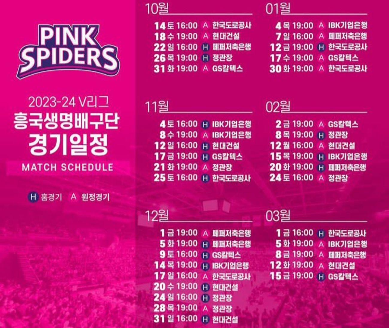 Jadwal Pink Spiders Putaran 5 KOVO V-League, Jangan Lewatkan Aksi Ratu Voli Korea Kim Yeon Kyung