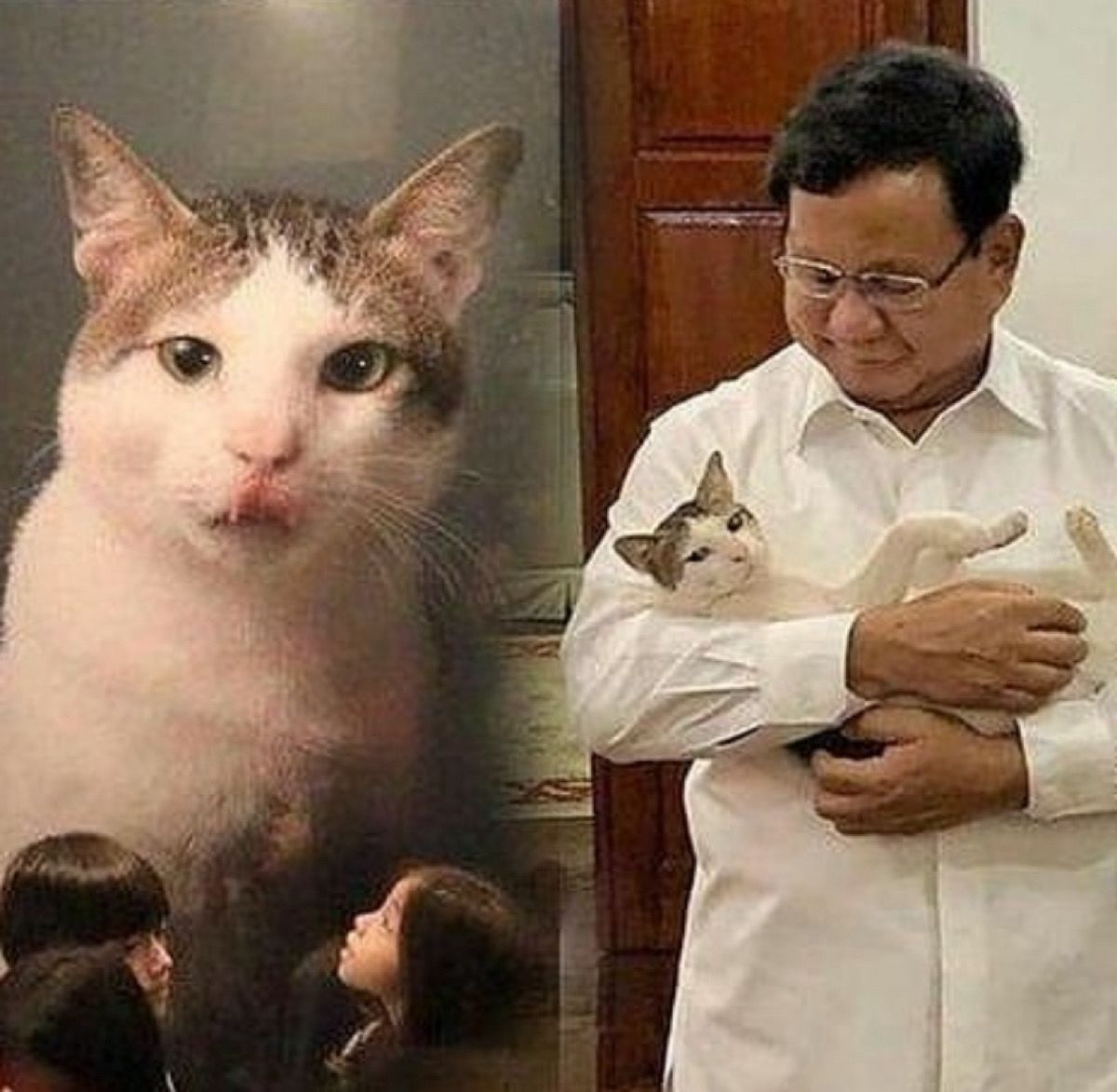Potret kebersamaan Prabowo dengan Bobby sang kucing kesayangan
