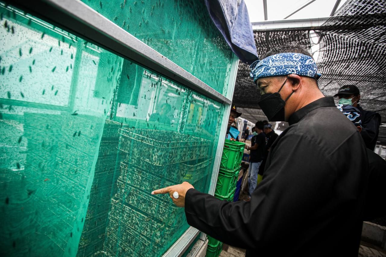 Luar Biasa, Sudah Ada Rumah Maggot di 125 Kelurahan Di Bandung untuk Atasi Sampah  Organik 