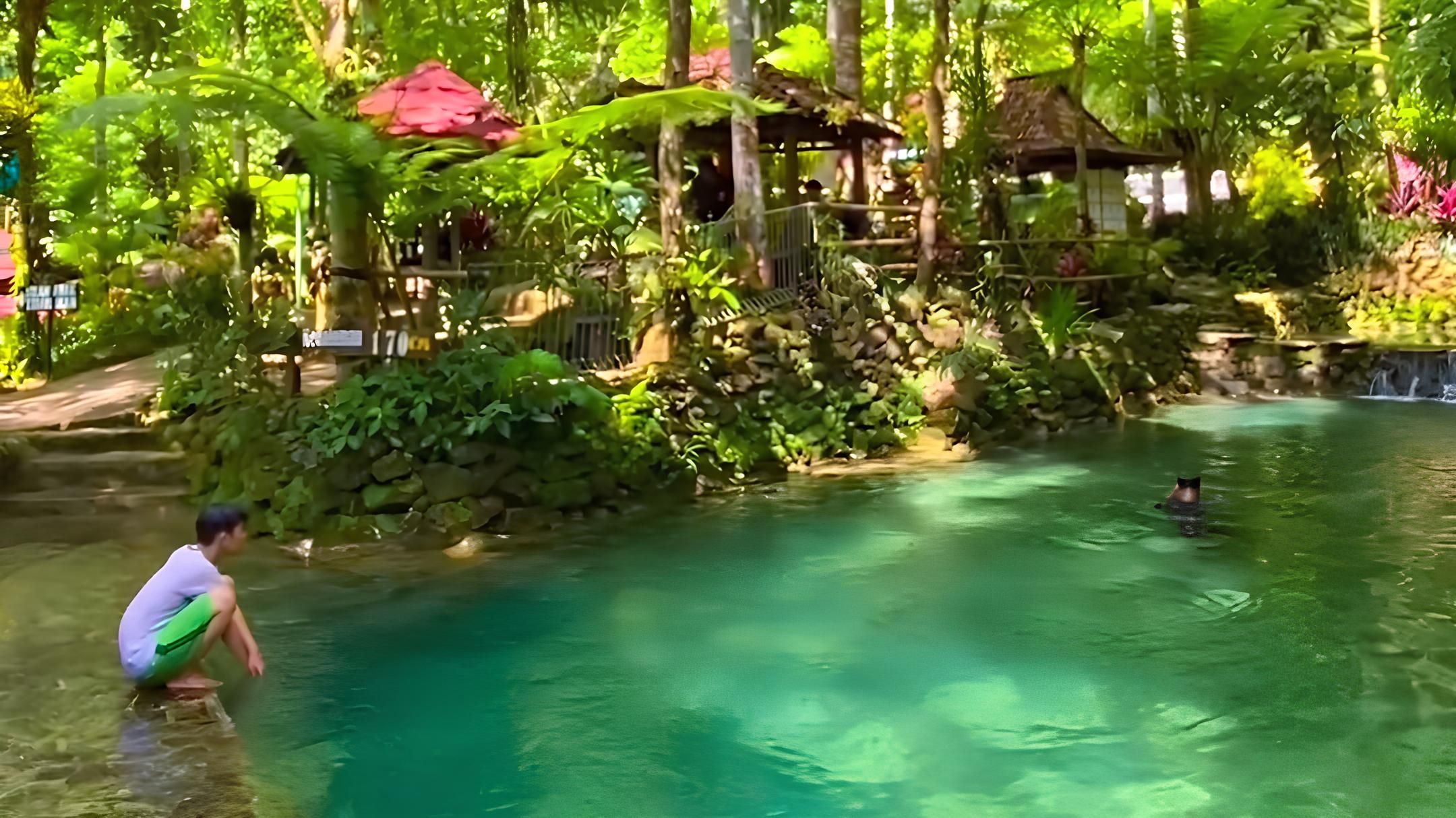 Wisata Sungai Mudal Kulonprogo Jogja memiliki air alami yang menyegarkan dengan air yang jernih.