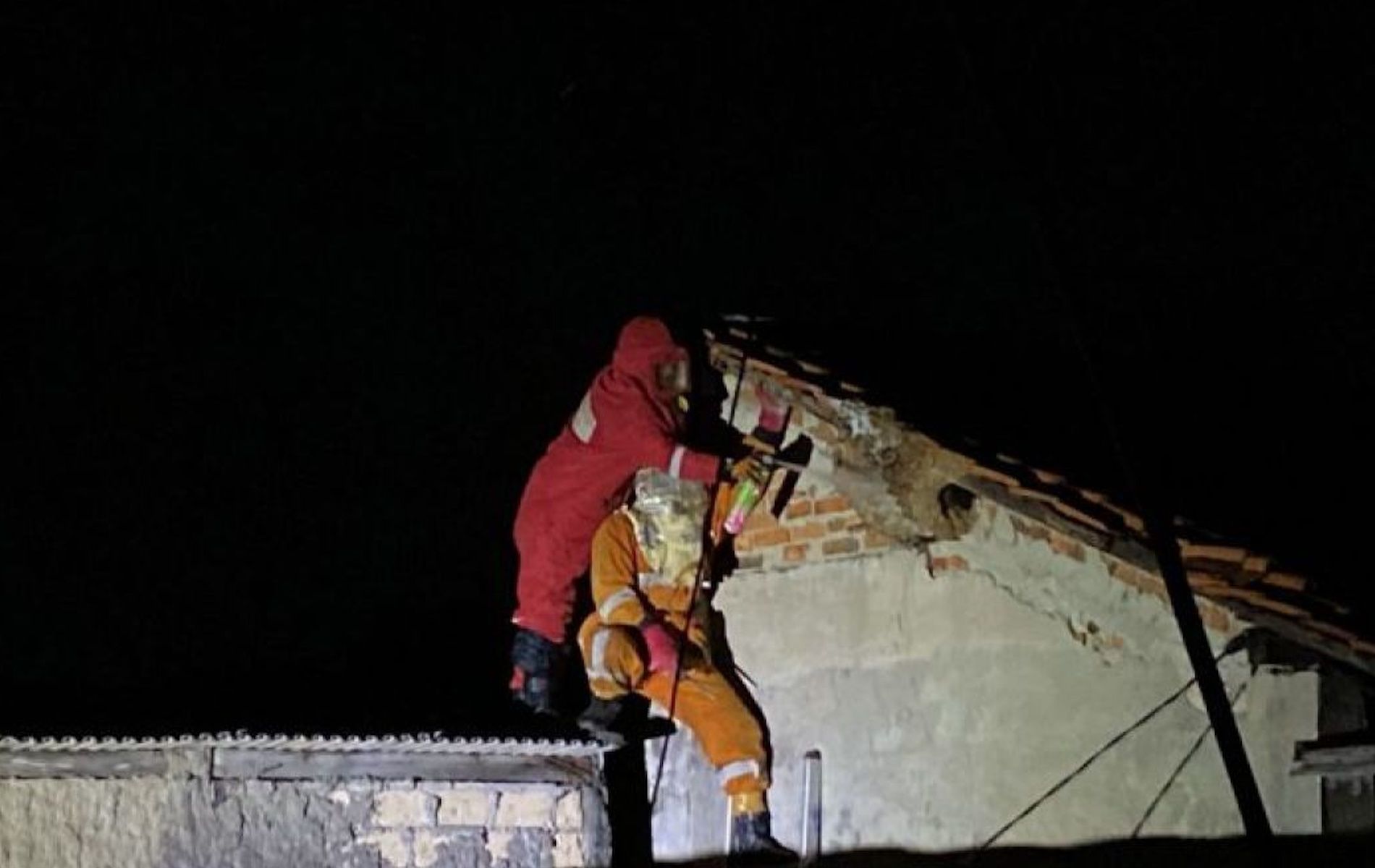 Petugas gabungan DPKP dan BPBD Kota Bogor mengevakuasi sarang tawon di Kelurahan Kedungjaya, Kota Bogor, Jawa Barat, Kamis (22/2/2024) malam.