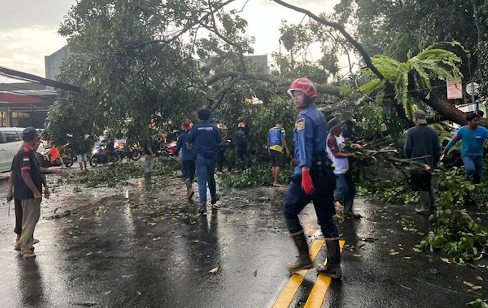 Pohon tumbang di Jalan Raya Ciawi-Gadog, Bogor, Jawa Barat.