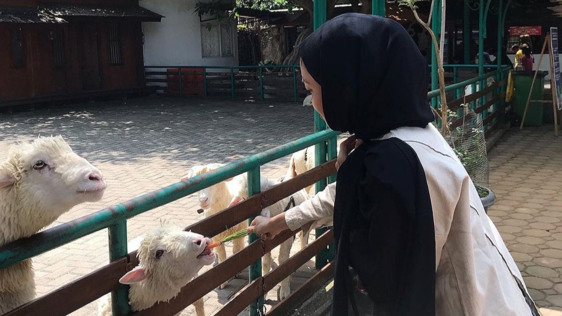 Di Farmhouse Lembang, pengunjung dapat memberikan pakan pada binatang yang ada di mini zoo./ Instagram/ @adillacitraa