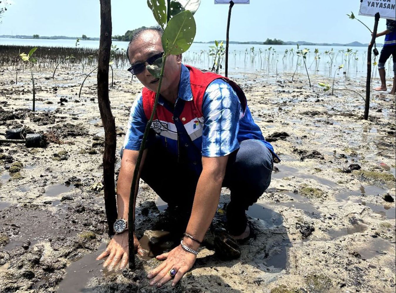 Di Sumbagut, total ada 3.250 bibit pohon yang ditanam, dan khusus di Pulau Sarang, Batam, kami menanam sebanyak 1.000 bibit pohon mangrove.