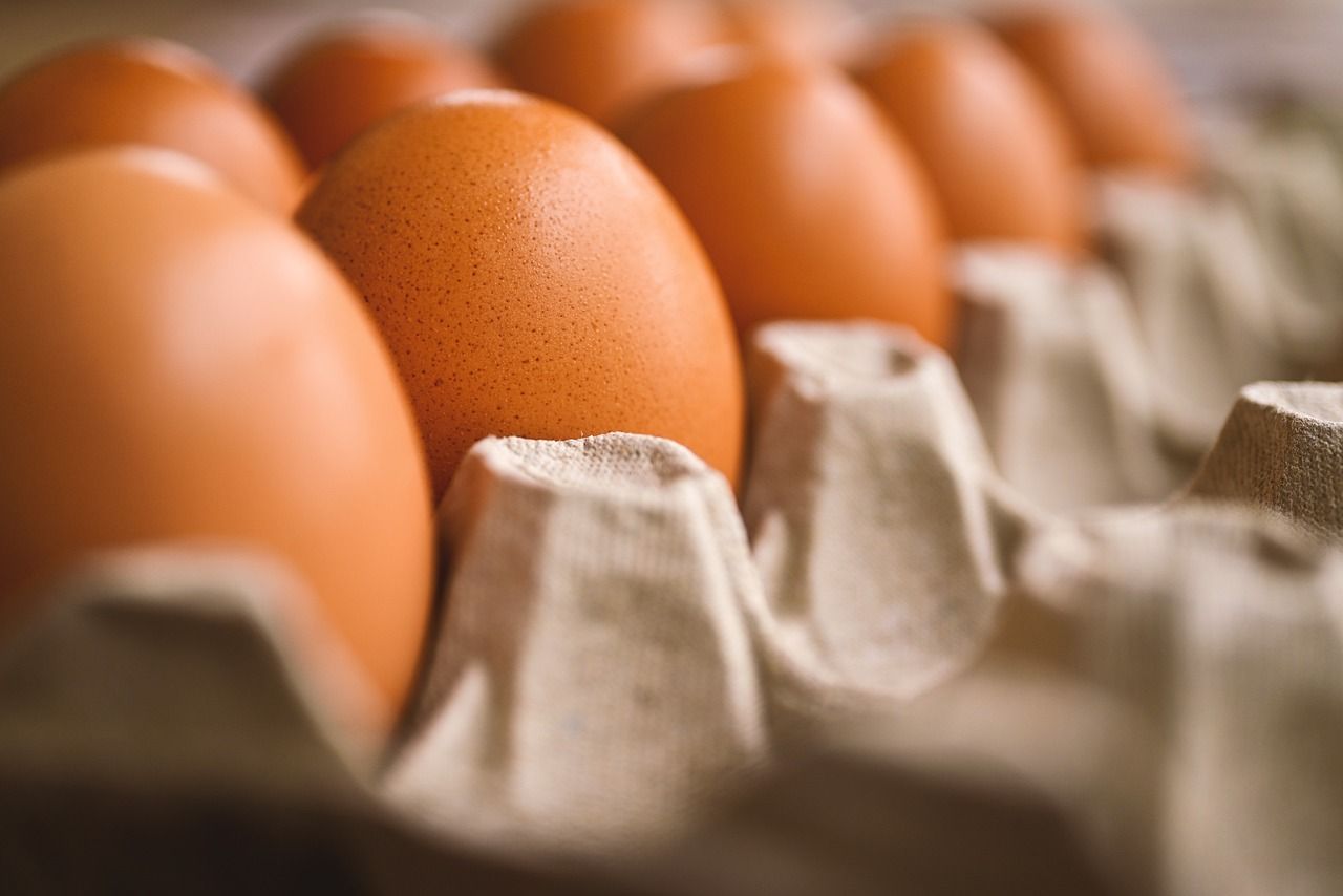 Konsumsi 1 Telur Setiap Hari Bisa Tambah Kecerdasan? Yuk Eksplor Manfaat dan Kandungan Telur Si Sumber Nutrisi