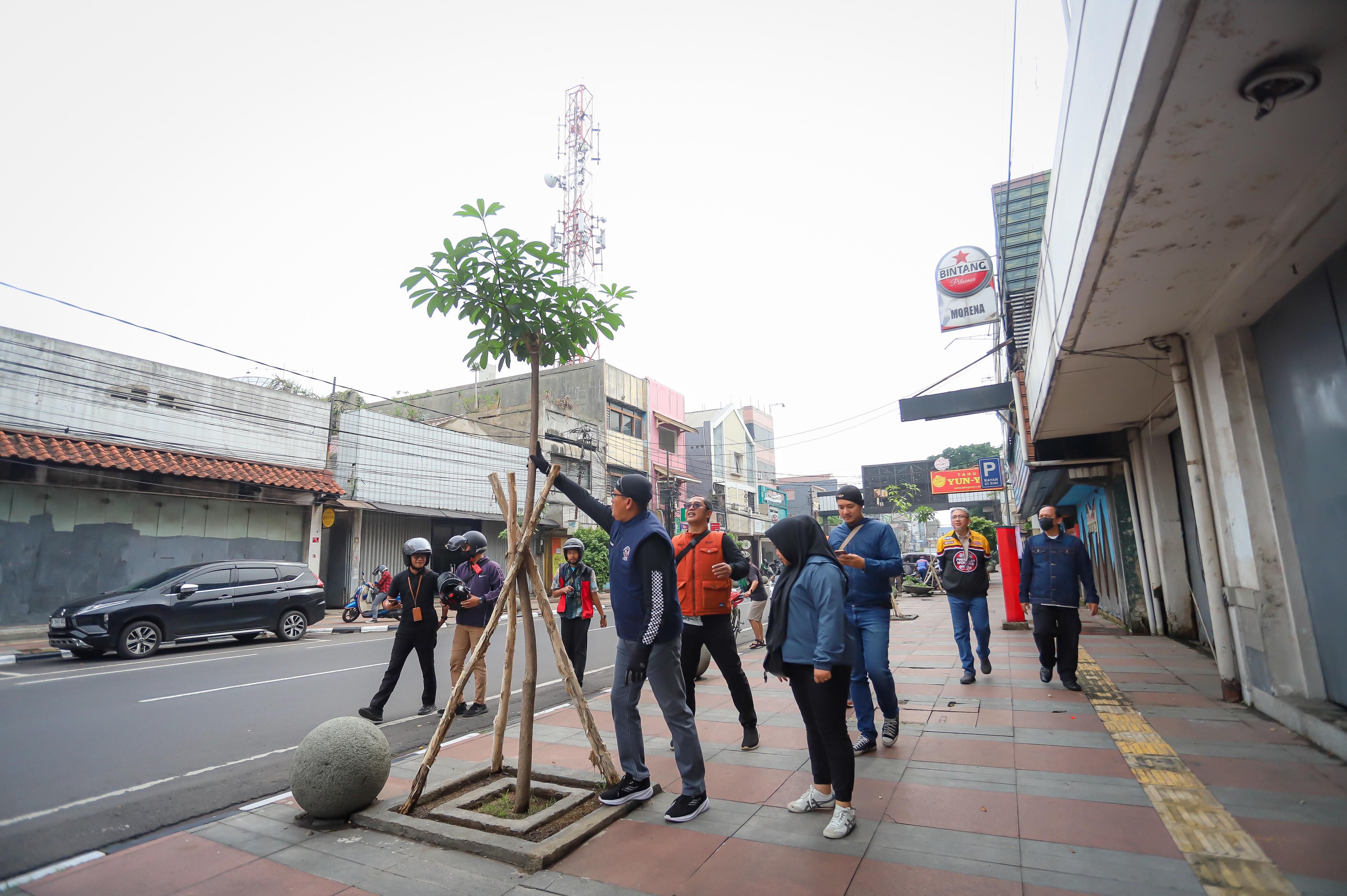  Pemkot Bandung Berkomitmen Hijaukan dan Tingkatkan Estetika Kota dengan Pohon Pale di Kawasan Jalan Sudirman