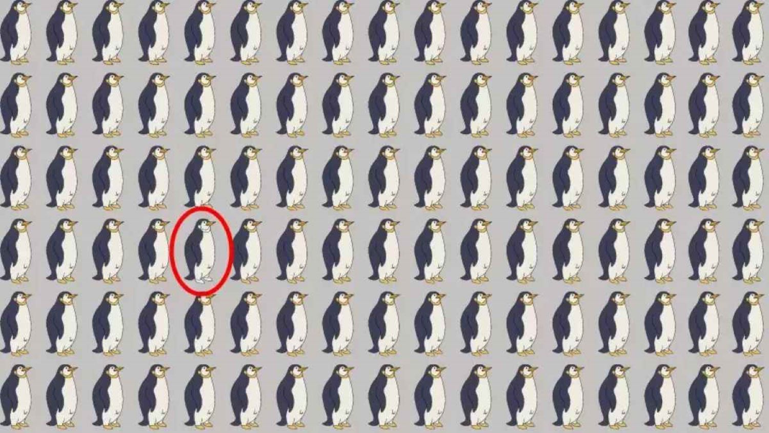 Jawaban tes ilusi optik, temukan penguin yang berbeda