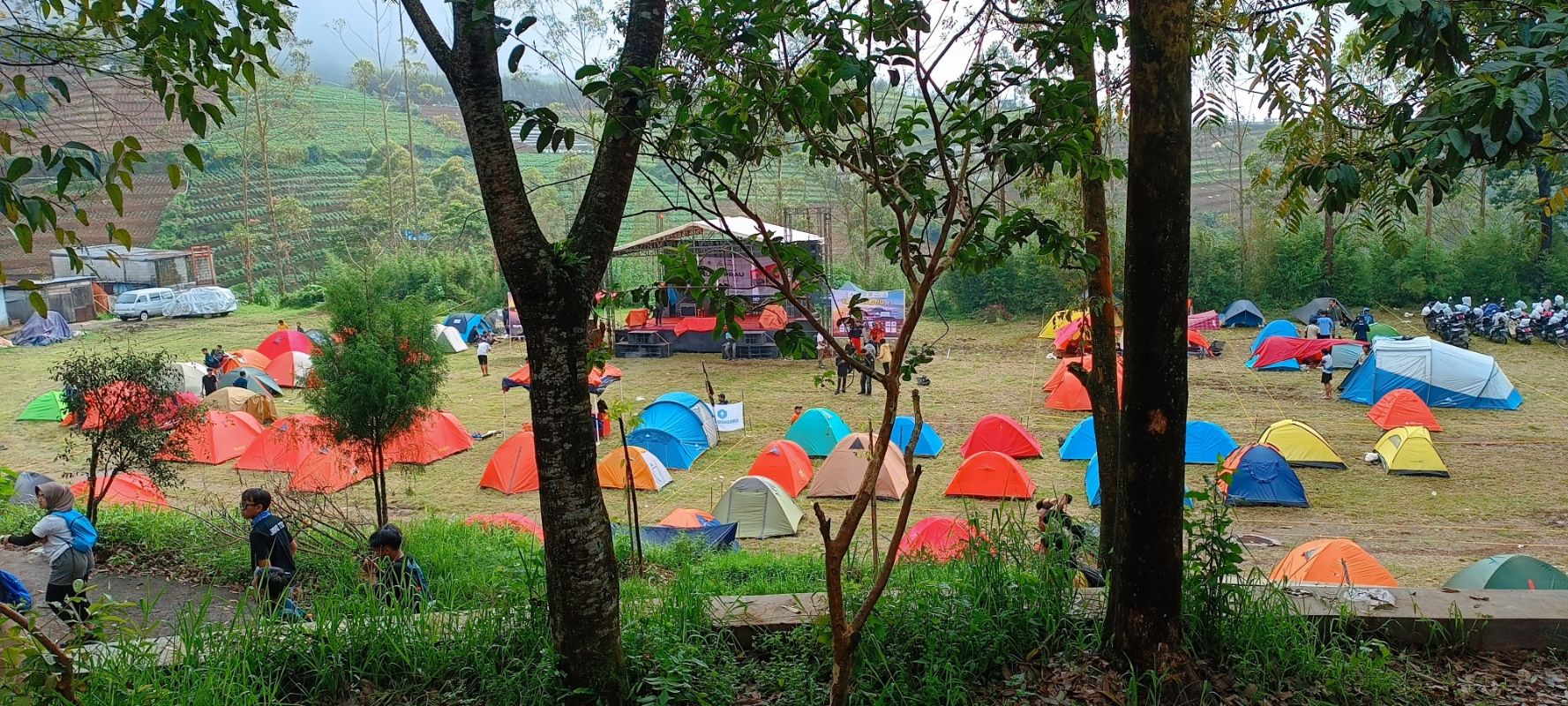 Lokasi berkemah peserta acara Puncak Bulan Konservasi #1 di desa Igirmranak, Kejajar Wonosobo pada 2024