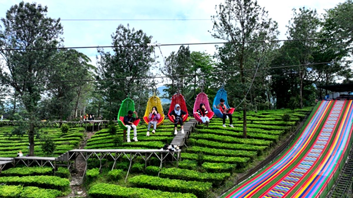 Suasana wisata agro di perkebunan teh Gunung Mas PTPN I di Punvcak, Bogor, wahana baru bernama Keranjang Mas.
