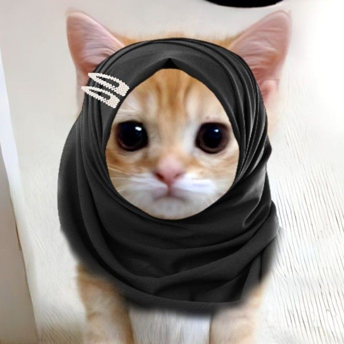 PP Kucing Ramadhan