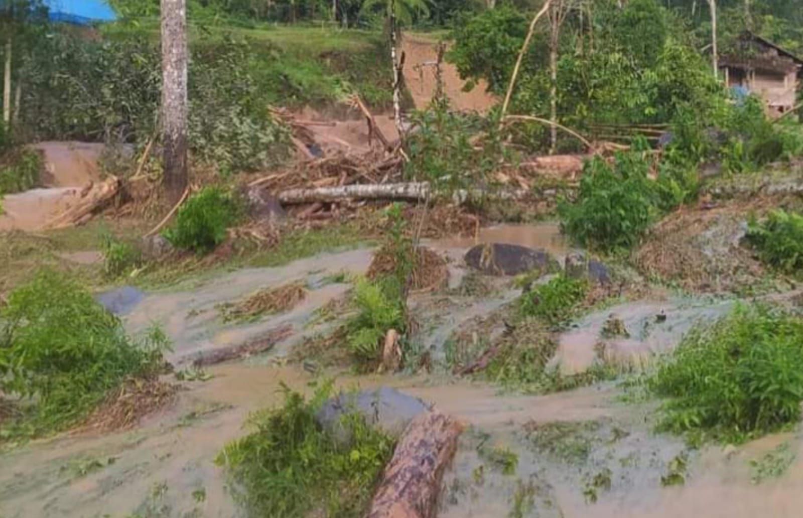 Akibat hujan deras, air terjun Sambabo meluap hingga menyebabkan sejumlah kebun milik warga longsoran dan satu unit jembatan penghubung ibu kota Kecamatan Bambang menuju tiga desa terputus