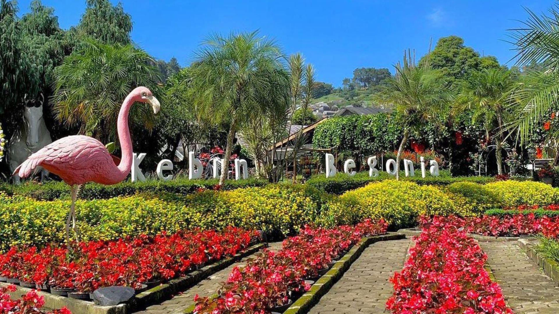 Kebun Begonia, berlokasi di Jalan Maribaya No.120 A, Lembang, Bandung Barat/ Instagram/ @kebunbegonia