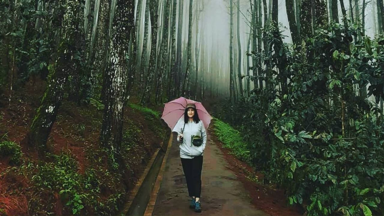 Suasana sejuk hutan pinus dengan pemandangan sedikit berkabut di Bukit Moko, cocok menjadi tempat ngabuburit sambil menunggu waktu berbuka puasa. /instagram/@wisatakabupatenbandung/
