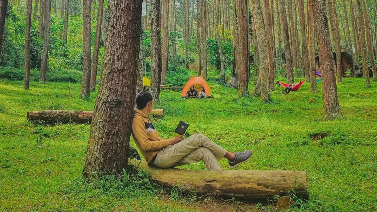 ILUSTRASI Wisata Alam Indah, Puncak Pinus Sawahlunto! Sensasi Bersantai dengan Harga Tiket Terjangkau dari Tiket com. 