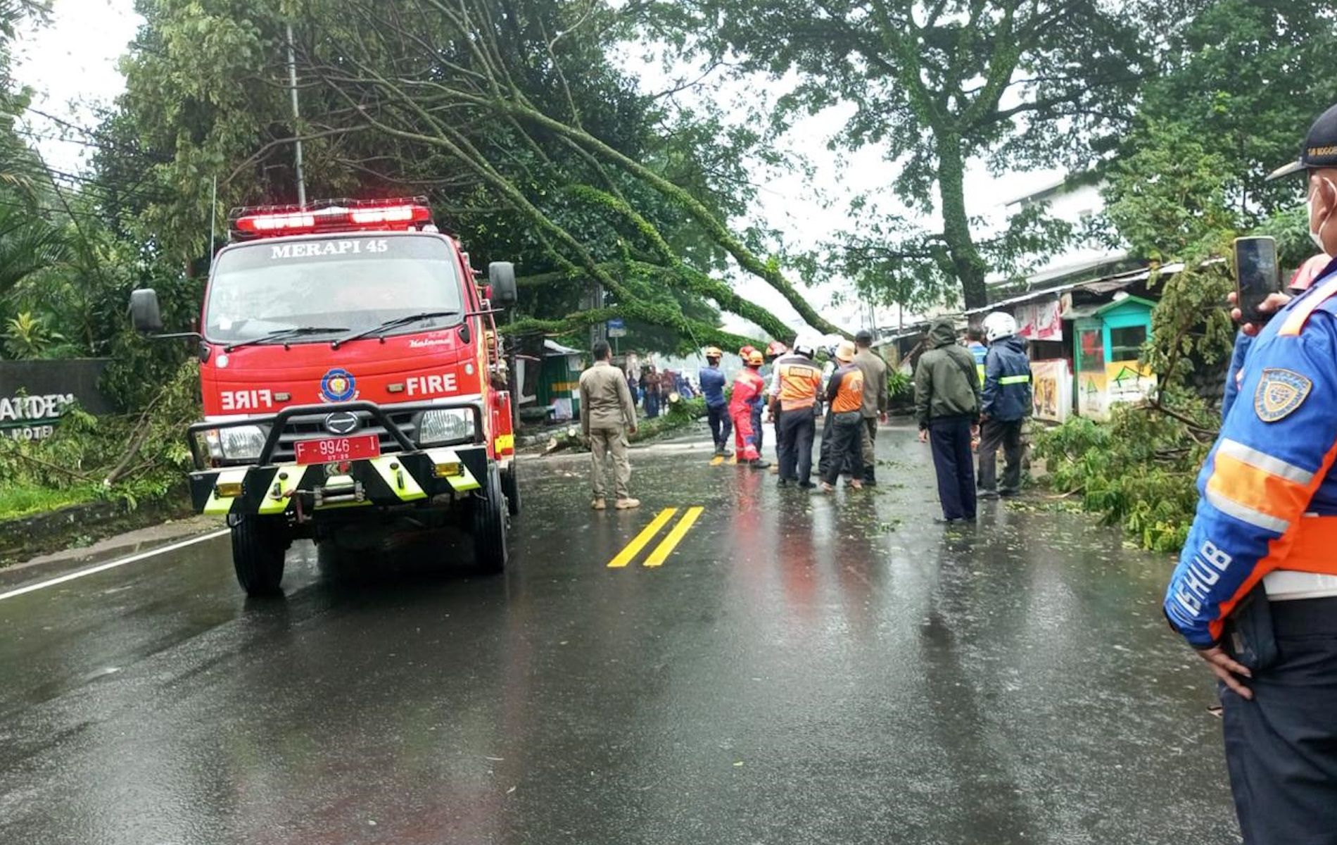 Petugas evakuasi pohon tumbang di Jalan Raya Puncak, Ciawi, Bogor, Kamis (14/3/2024).