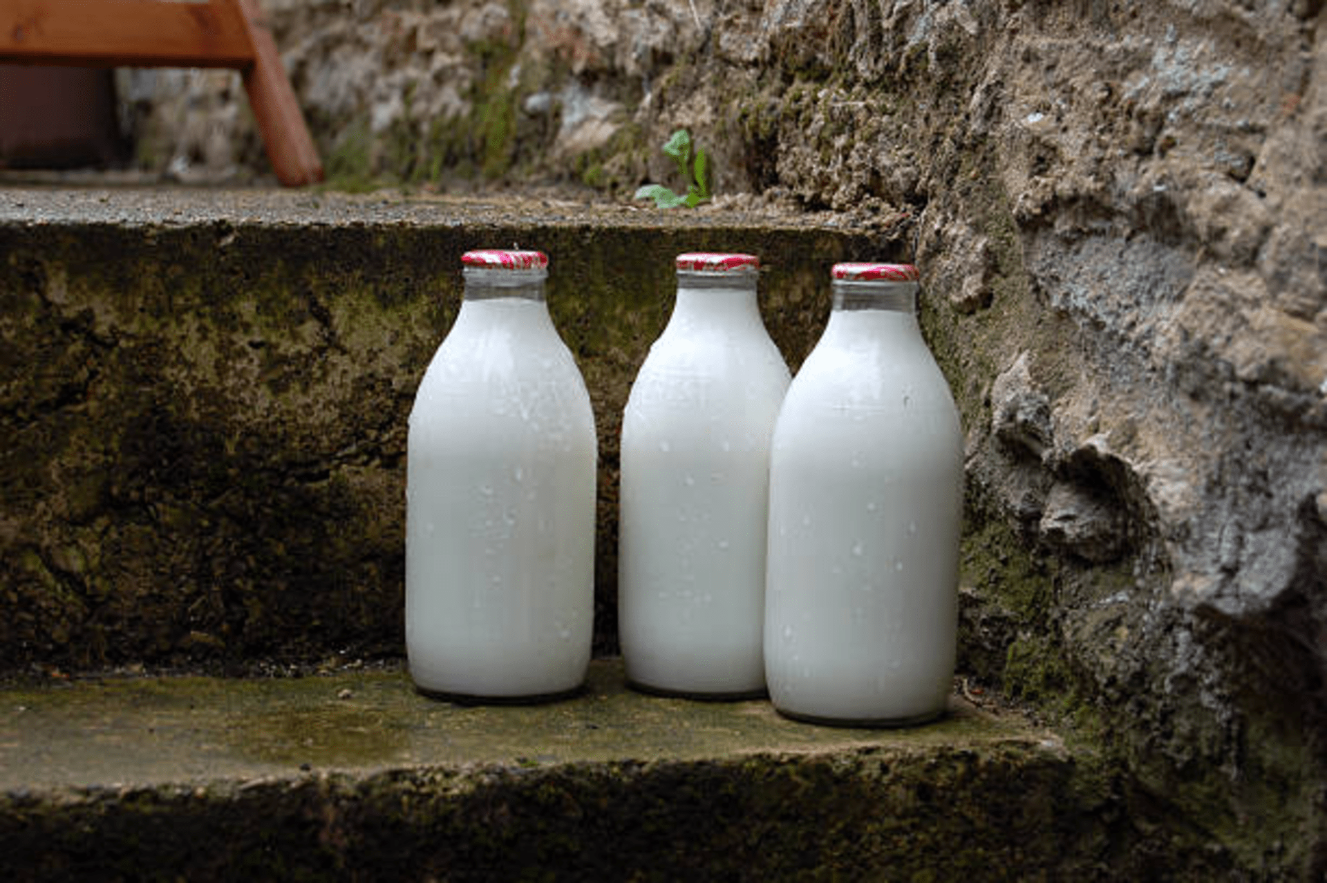 Susu dikenal sebagai salah satu minuman sehat yang kaya akan nutrisi penting bagi tubuh manusia, salah satunya kesehatan kulit/