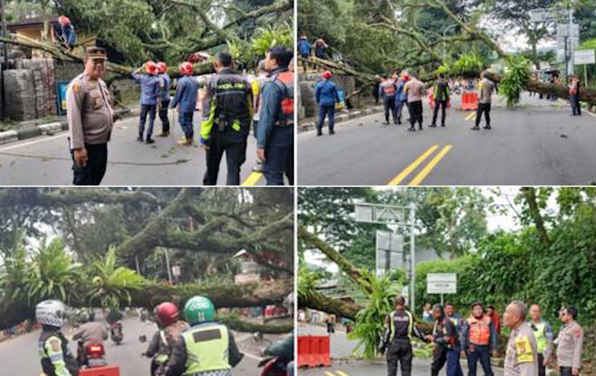 Tim gabungan yang terdiri dari BPBD Kabupaten Bogor, Unit Pemadam Kebakaran,  Polsek Ciawi, BKO Brimob, Satpol PP, dan Dishub saat evakuasi pohon besar tumbang di Jalan Raya Puncak, Bogor.