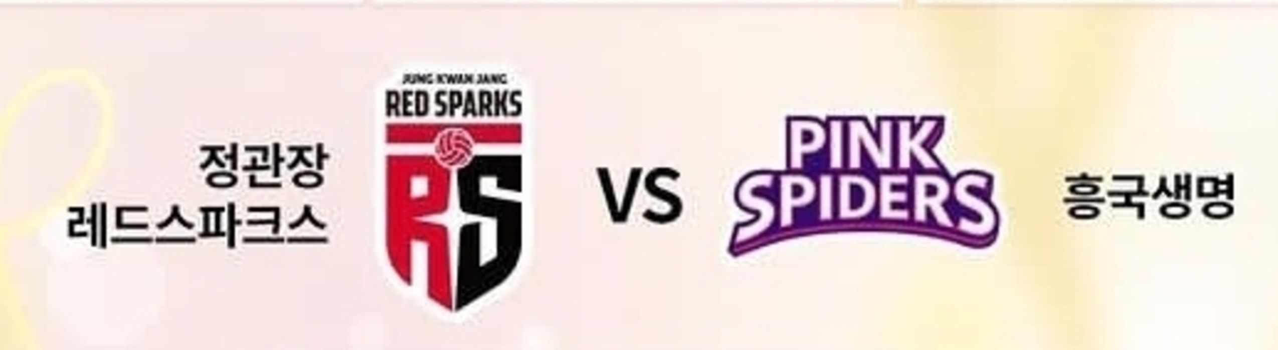 Jadwal Play Off Red Sparks vs Pink Spiders Liga Voli Putri Korea