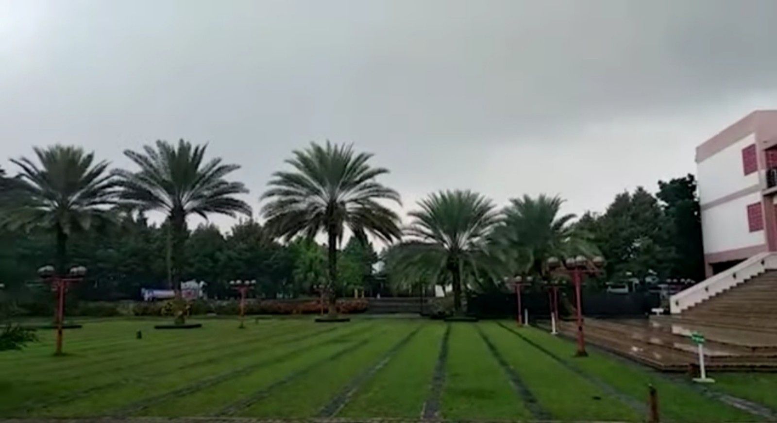 Kebun Kurma di area Masjid Raya Bani Umar di Kawasan Bintaro Tangerang Selatan Banten/tangkapan layar youtube/channel Awang Santoso 