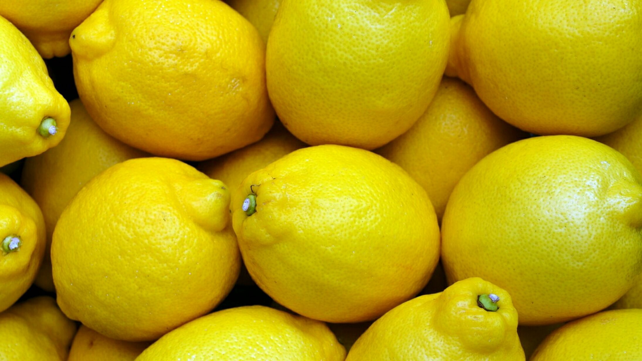 Buah lemon yang segar dangan rasa asam/